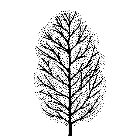 Carya ovata