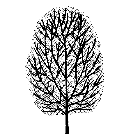 Sorbus devoniensis